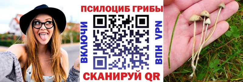 Псилоцибиновые грибы GOLDEN TEACHER  Нытва 